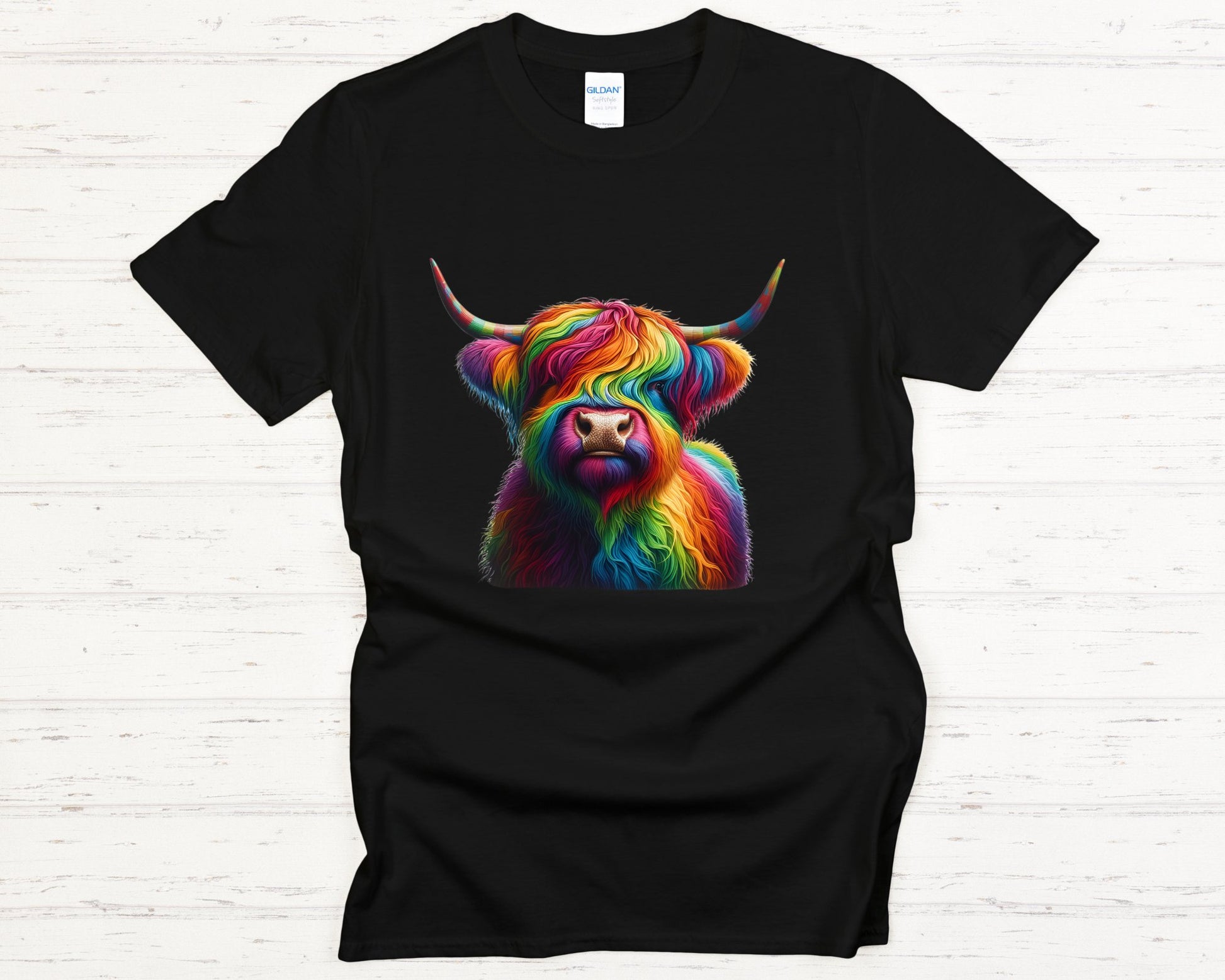 Rainbow Highland Harmony Tee - black-lay-flat